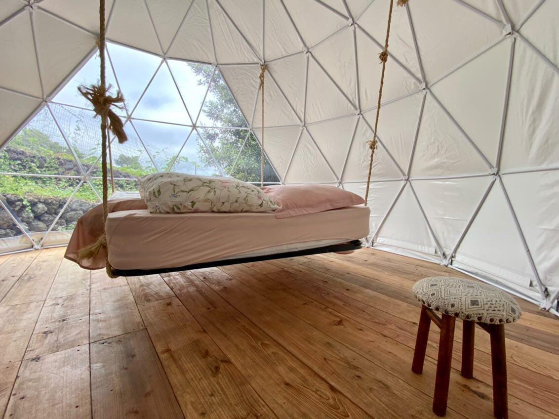 Domes Criptomeria